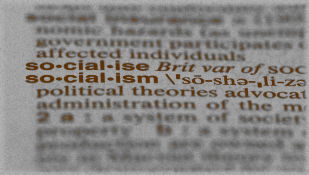 socialism dictionary entry